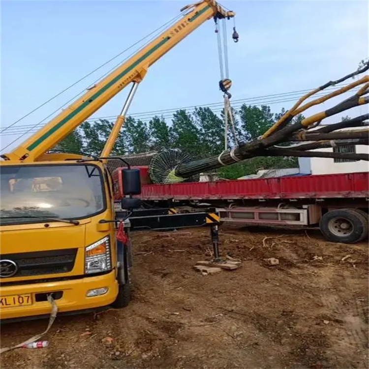 麻洋镇100吨吊车租赁费用怎么算？3大关键因素+省钱技巧全解析